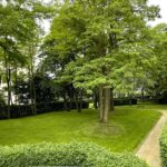 Jardin colocation seniors Uccle 150x150